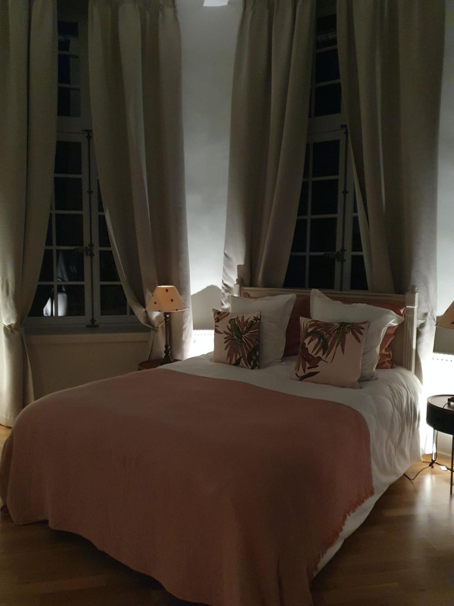 Couette-café D'hôtes Château Du Bois De La Noe