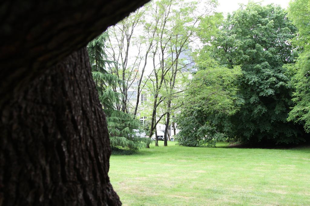 Couette-café D'hôtes Château Du Bois De La Noe